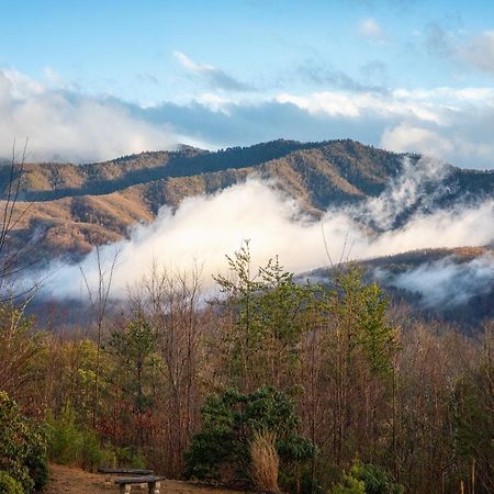 Real Log Cabin With Amazing Views, Hot Tub, Sauna, Games Gatlinburg Ngoại thất bức ảnh