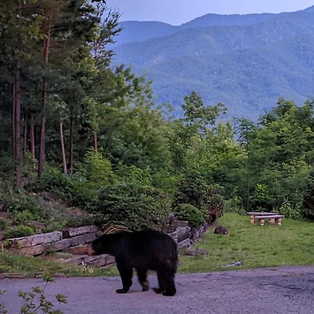 Real Log Cabin With Amazing Views, Hot Tub, Sauna, Games Gatlinburg Ngoại thất bức ảnh