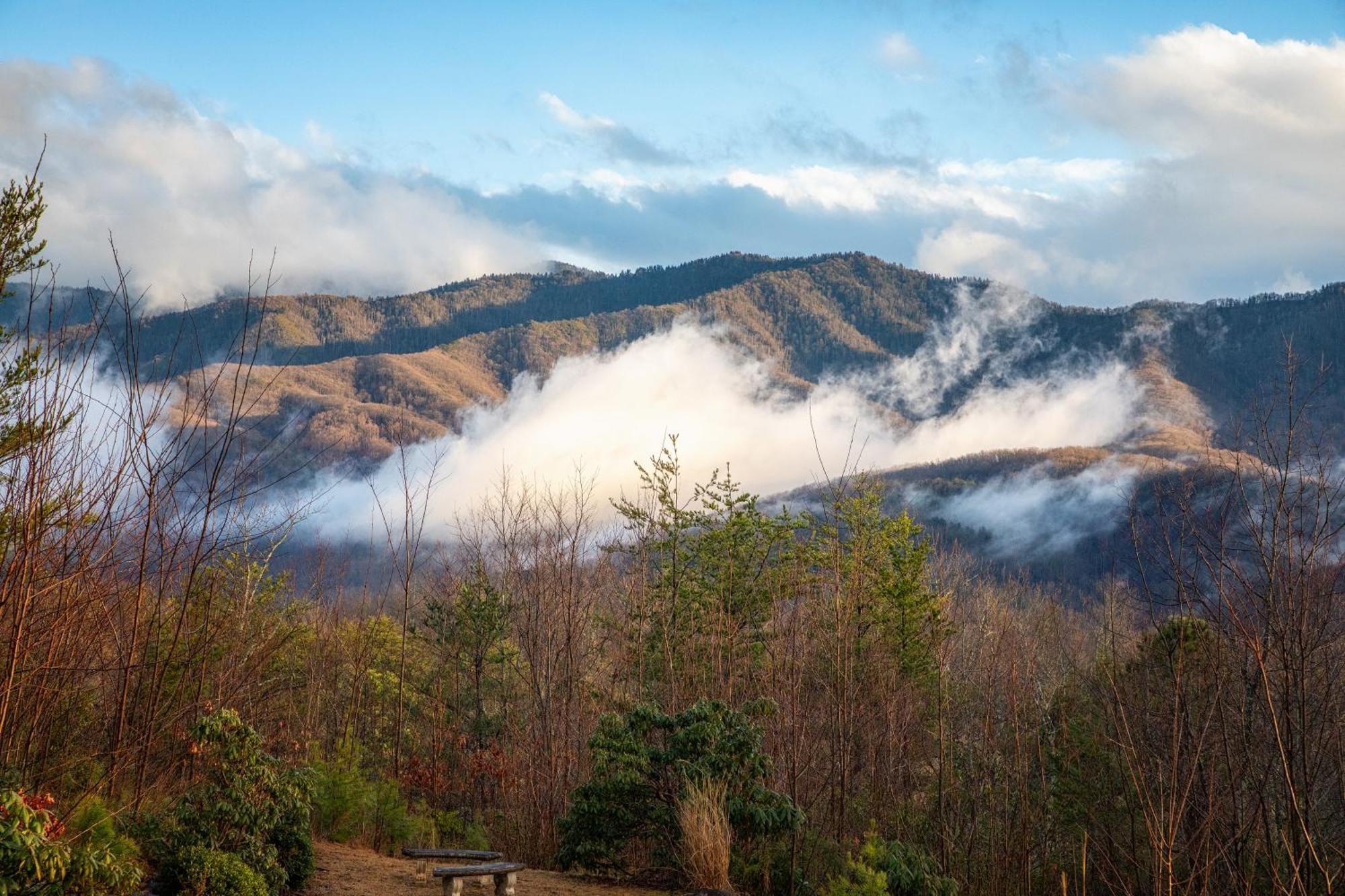 Real Log Cabin With Amazing Views, Hot Tub, Sauna, Games Gatlinburg Ngoại thất bức ảnh