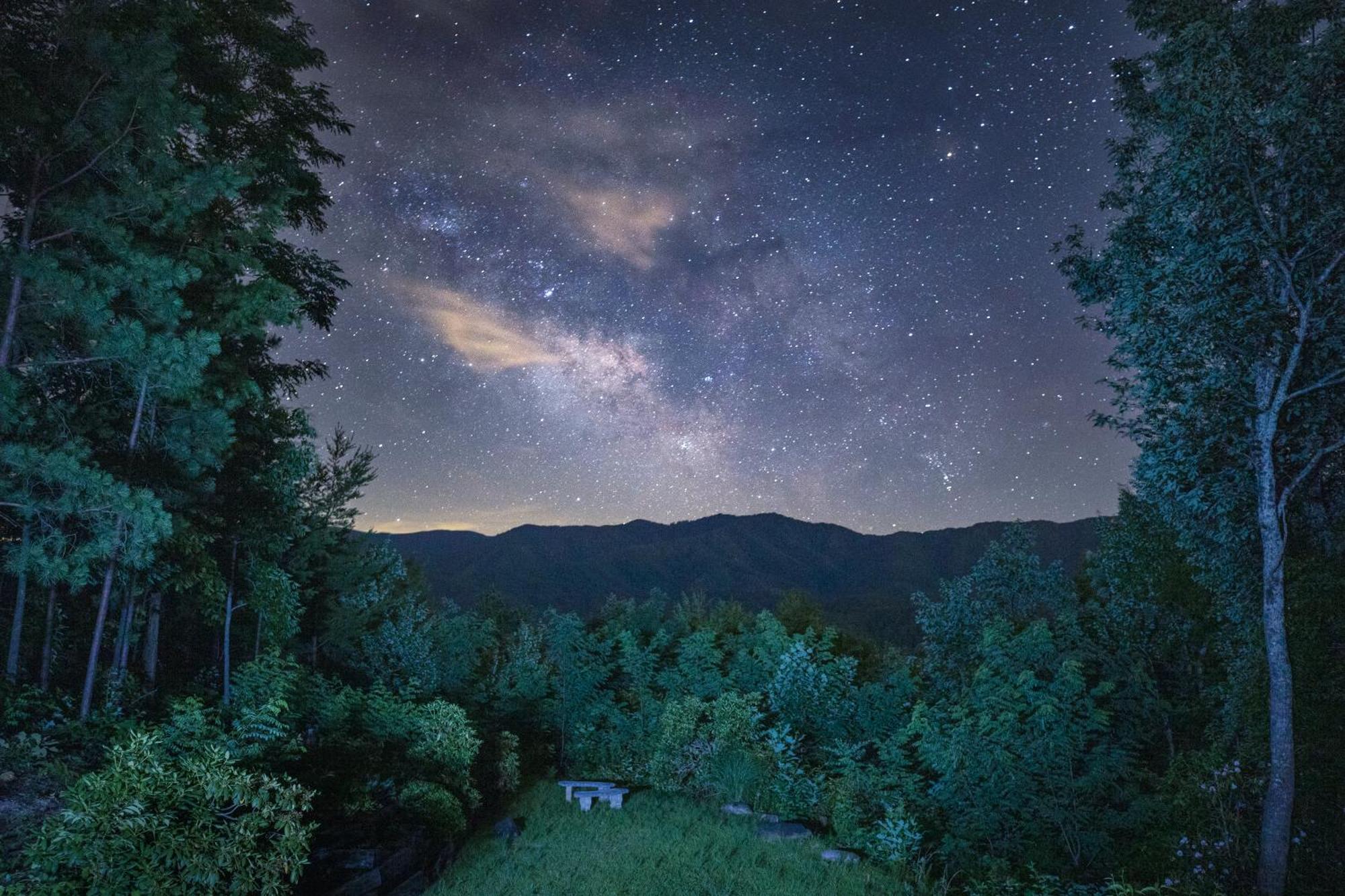 Real Log Cabin With Amazing Views, Hot Tub, Sauna, Games Gatlinburg Ngoại thất bức ảnh
